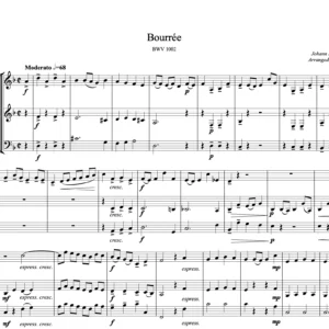 Bourrée (BWV 1002) - J.S.Bach
