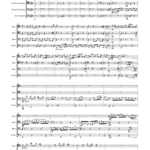 Chaconne from Solo Partita No.2 for Violin Solo (Complete) - Johann Sebastian Bach