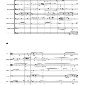 Elsas Procession to the Cathedral - Richard Wager