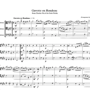 Gavotte en Rondeau from Partita No.6 for Violin Solo - J.S.Bach