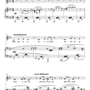 Liebestod from Tristan and Isolde for Tenor Trombone OR Bass Trombone OR Horn in F OR Trumpet in C (or B Flat) OR Tuba and Piano - R.Wagner
