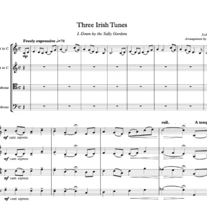Three Irish Tunes